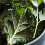 Crispy Kale Chips (That Don't Blow Away)